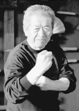 Masaaki Hatsumi Soke Bujinkan